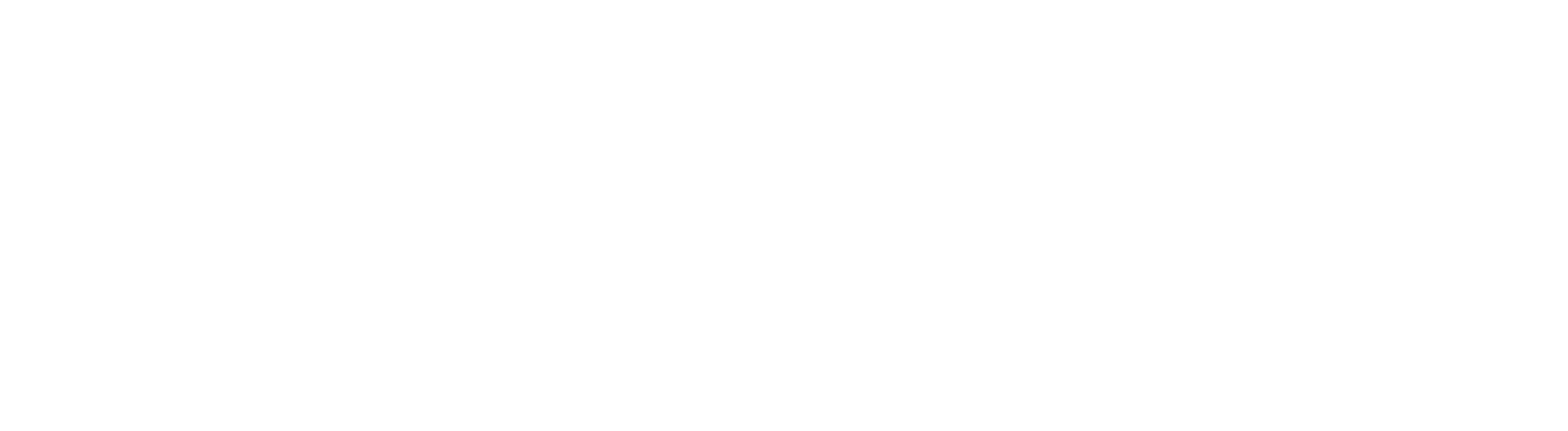 Scenarly Logo